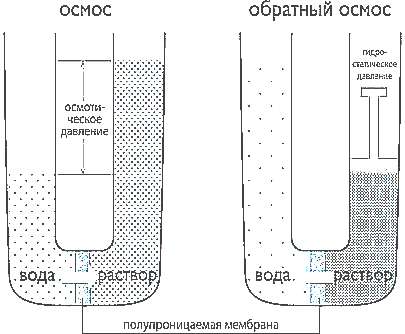 Обратный осмос (схема) (рисунок)