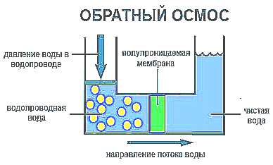 Обратный осмос (рисунок) (фото)